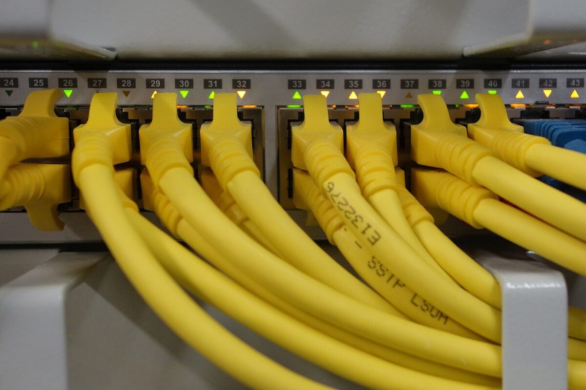 Yellow network patch cables plugged into a switch